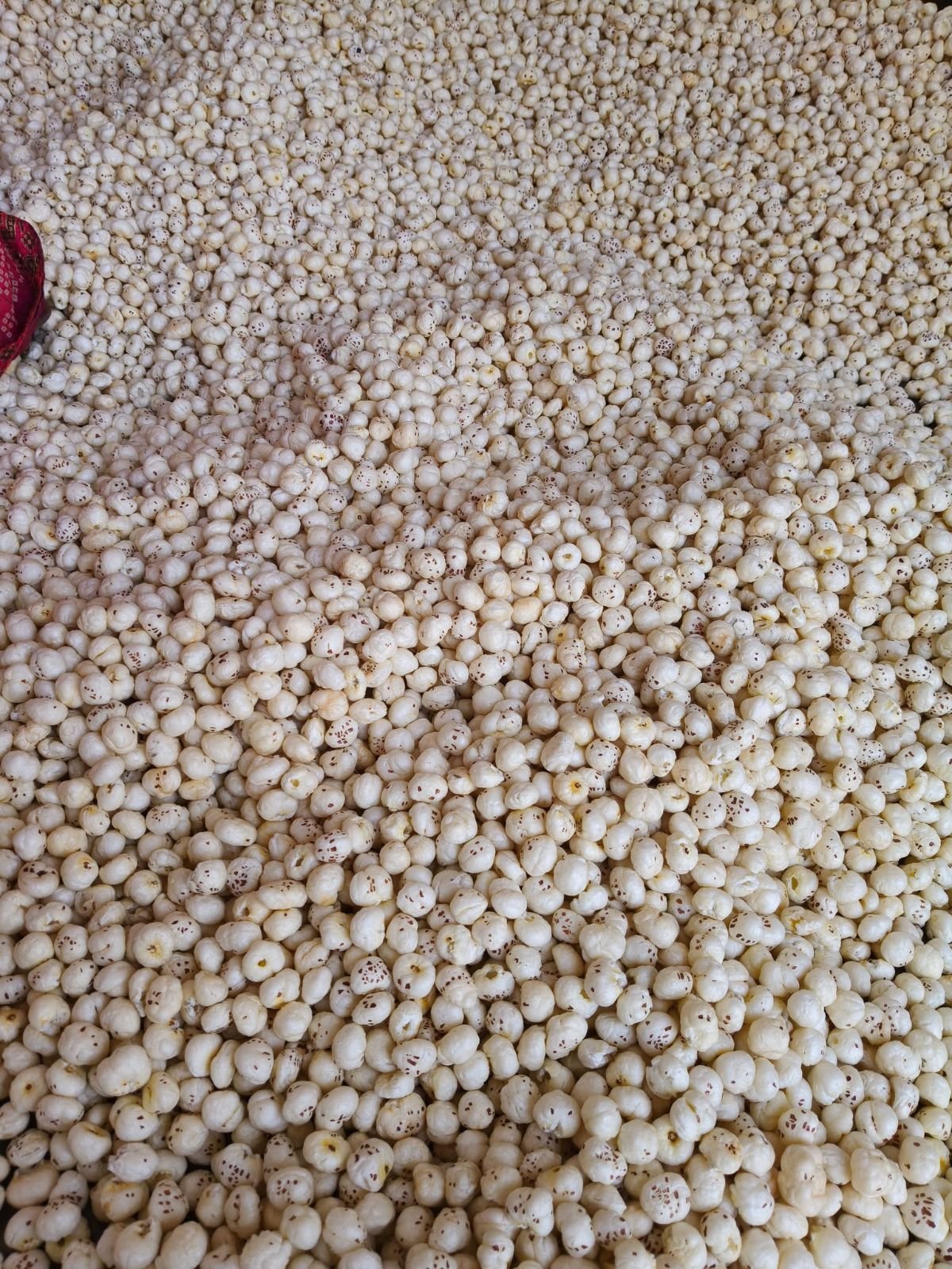 Organic Makhana