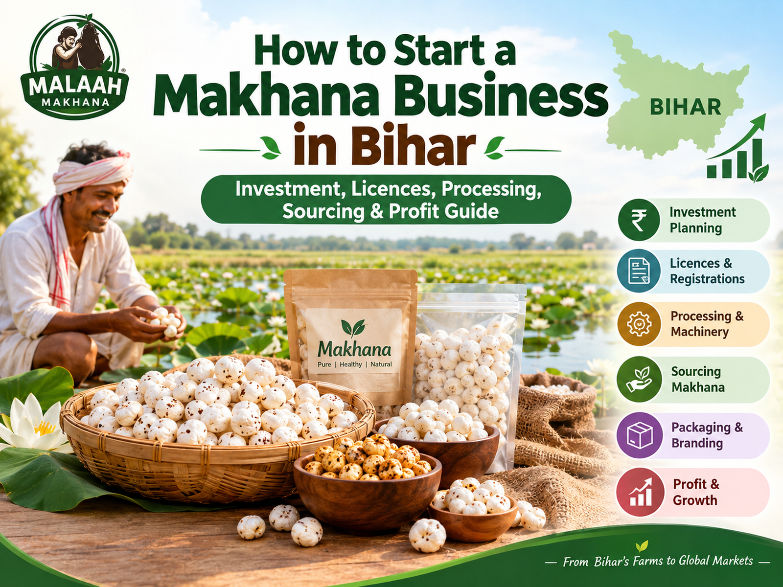 How to Start a Makhana Business in Bihar
